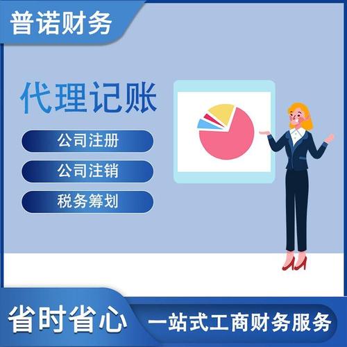 普诺财税 中小企业的财税护航专家